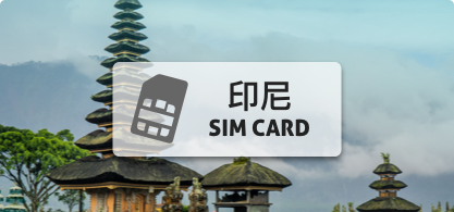 印尼SIM卡【8天 高速上網 每日2GB吃到飽 】
