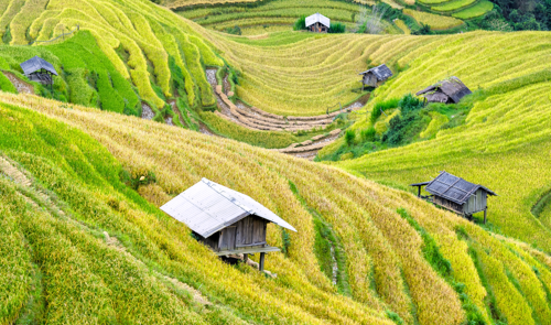 Vietnam越南上網卡/Wifi分享器